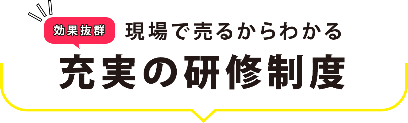 充実の研修制度