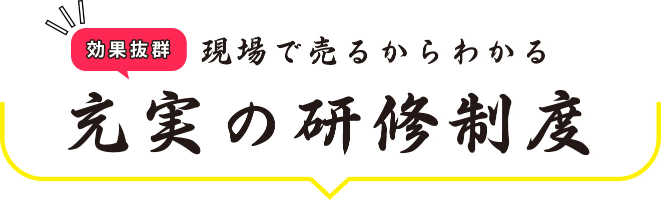 充実の研修制度
